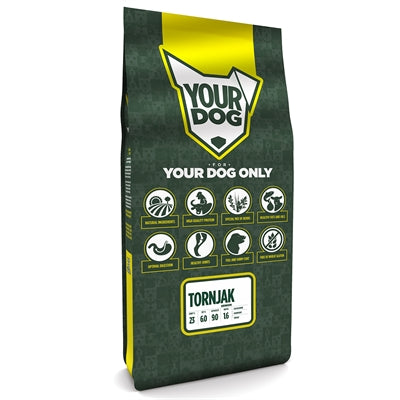 Yourdog Tornjak Senior