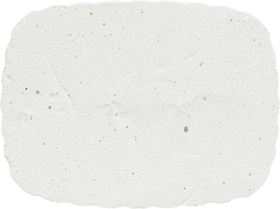 Trixie Piksteen Met Schelpen Mineralen En Mosselen