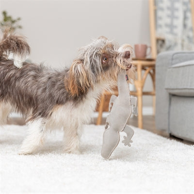 Trixie Salamander Leer