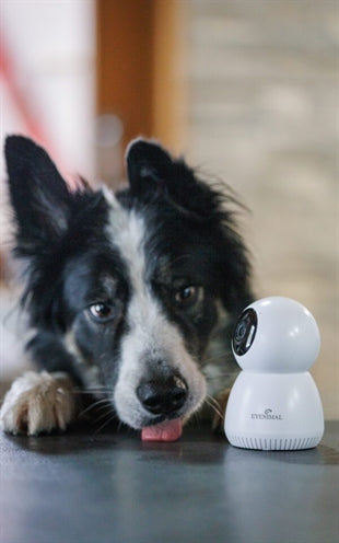 Numaxes Eyenimal Pet Vision Live Hd Camera Zonder Geluid Detectie